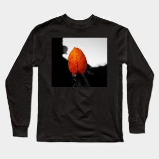 What can I use autumn leaves for? Long Sleeve T-Shirt